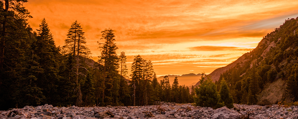 Peach sunset in mountain valley riverbed with trees and rocks